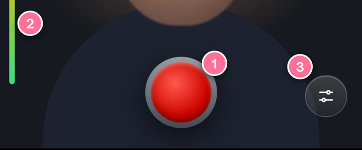 The bottom of the screen: the red record button (1), the sound level bar on the left (2) and the settings button (3).